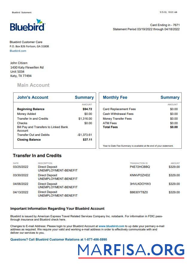 Downloadable USA Bluebird bank statement word download for verification